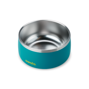 Pet Bowl Turquoise & Caicos