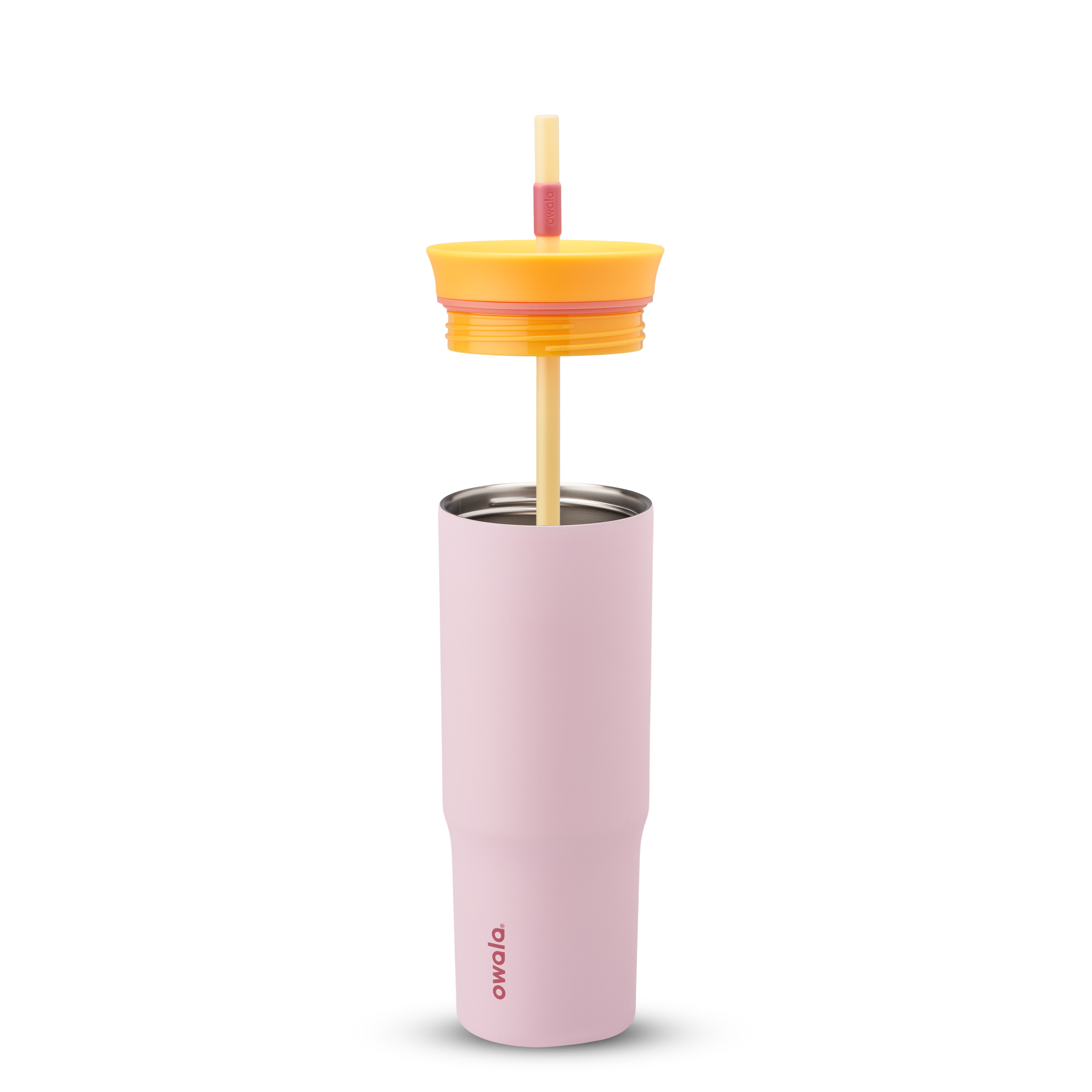 Candy_Store_24oz_Exploded-4000×4000-c38c18a